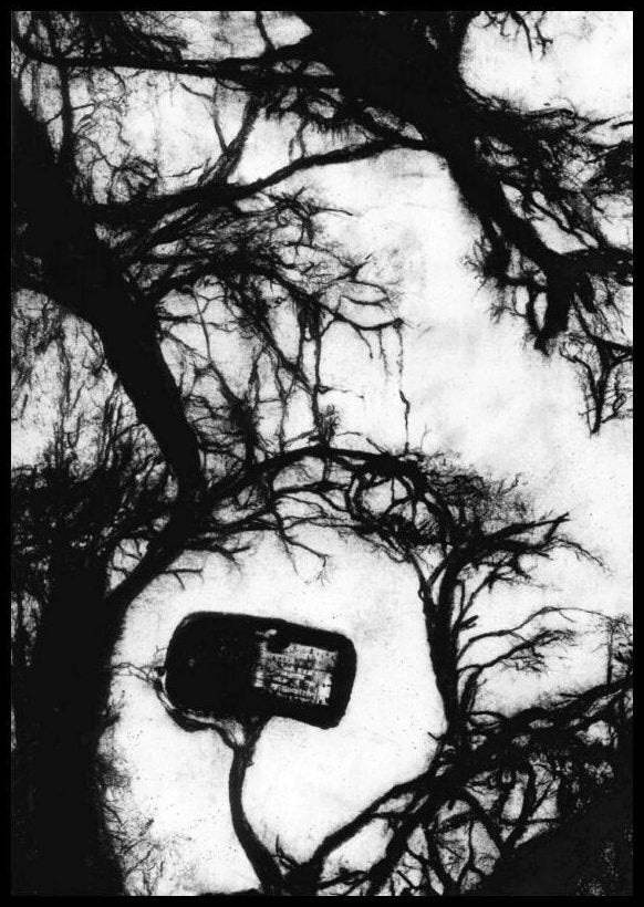 Boulton, Amy | Trogen Devgun, Lisa | et al | Reality harvester : Nature after data after nature