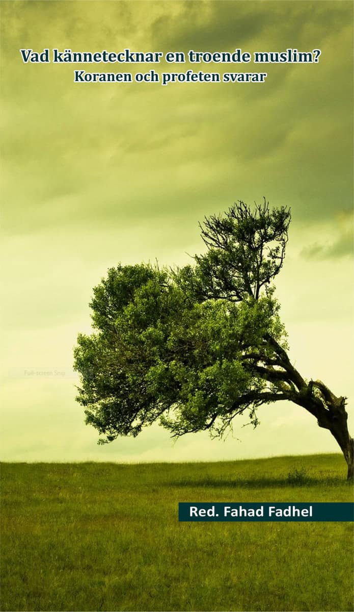 Vad kännetecknar en troende muslim? : Koranen och profeten svarar