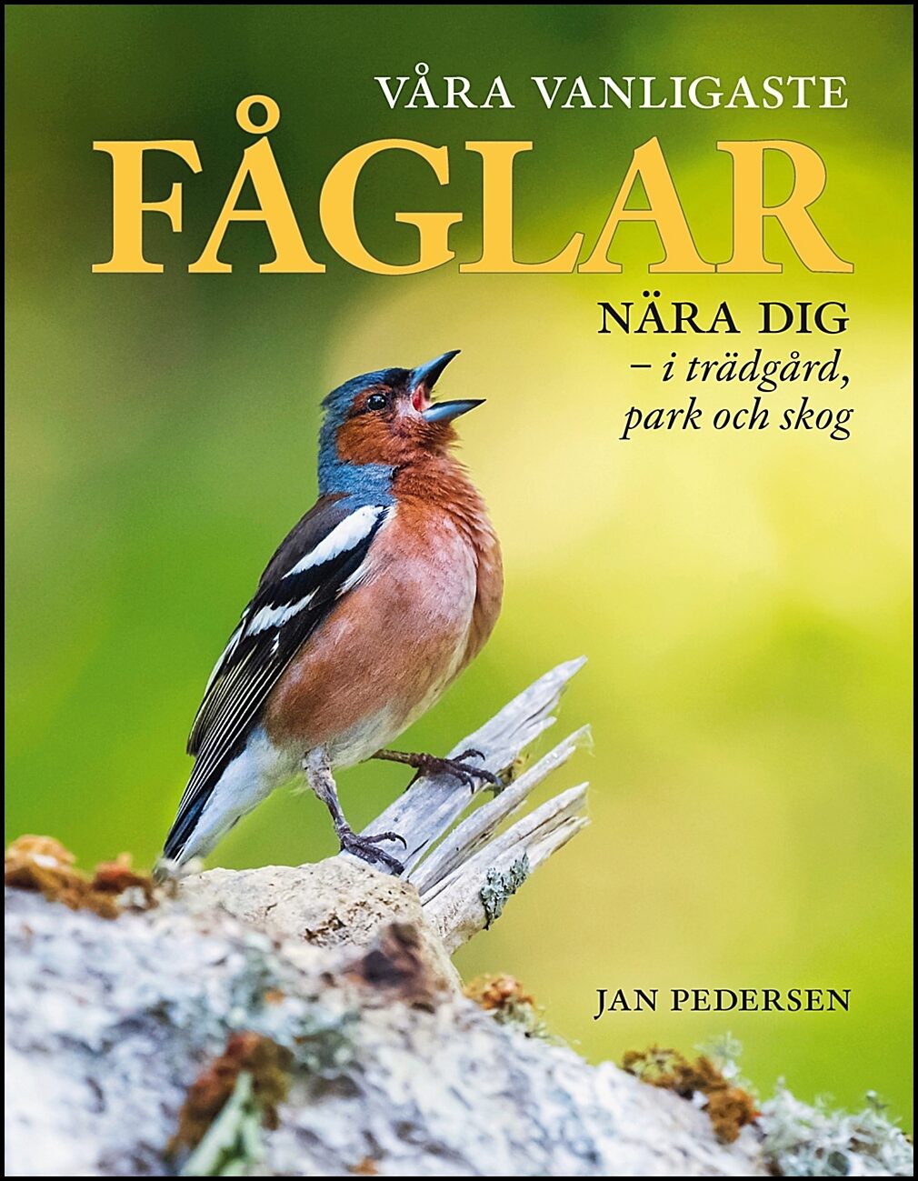 Pedersen, Jan | Våra vanligaste fåglar nära dig : I trädgård, park och skog