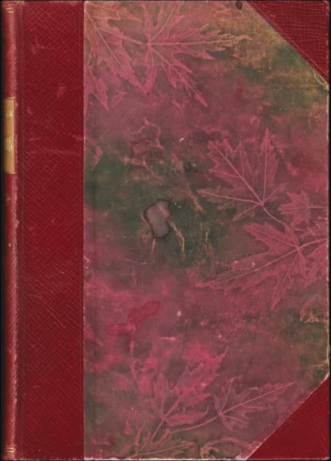 Bergman, Johan | Napoleon och världskriget för 100 år sedan : En maktpolitikers saga berättad för svenska folket