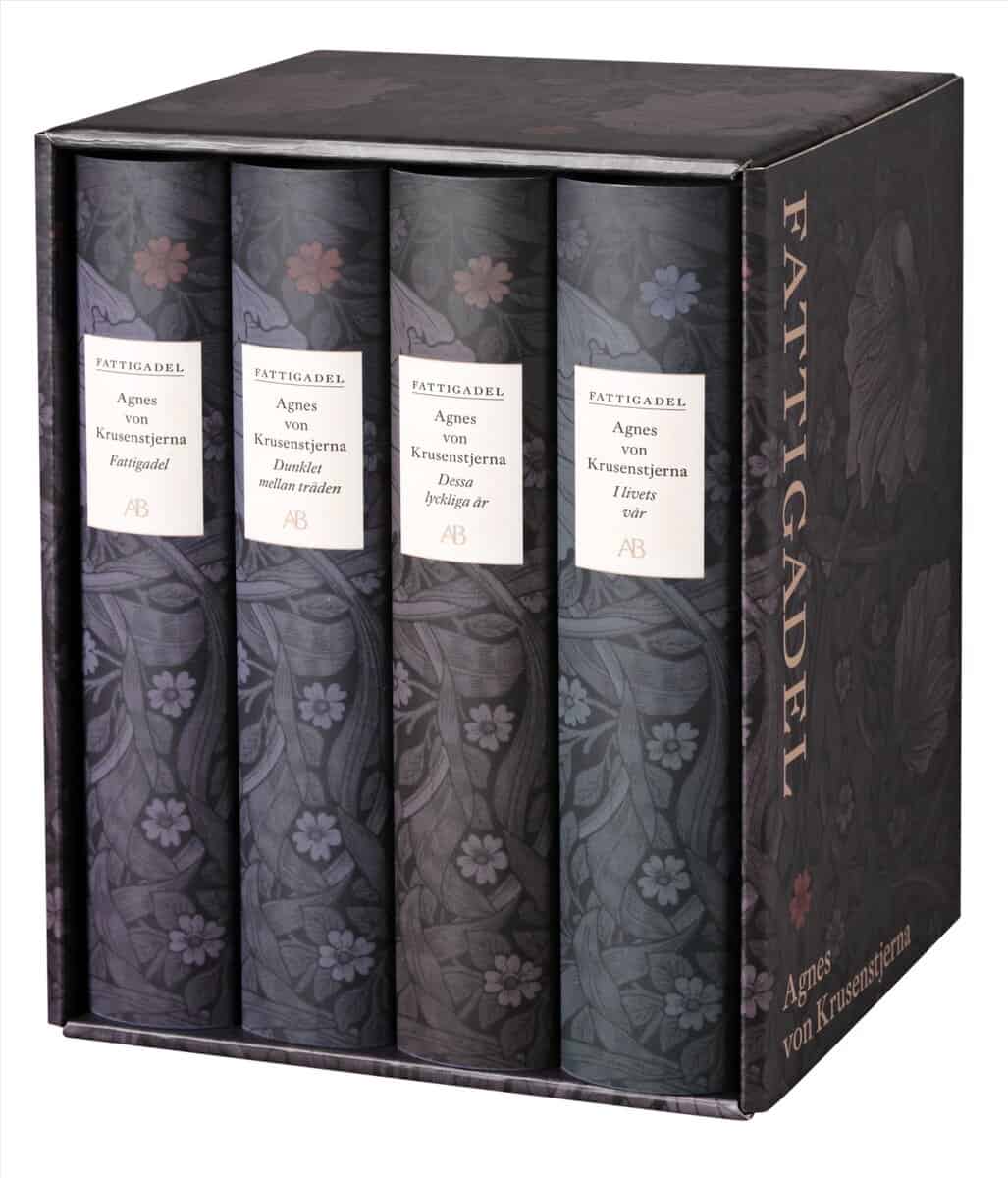 Krusenstjerna, Agnes von | Fattigadel I-IV