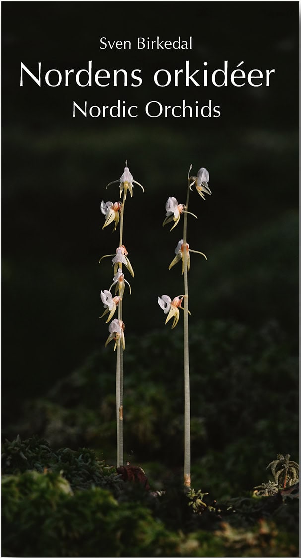 Birkedal, Sven | Nordens orkidéer : En fältguide / Nordic Orchids : a field guide