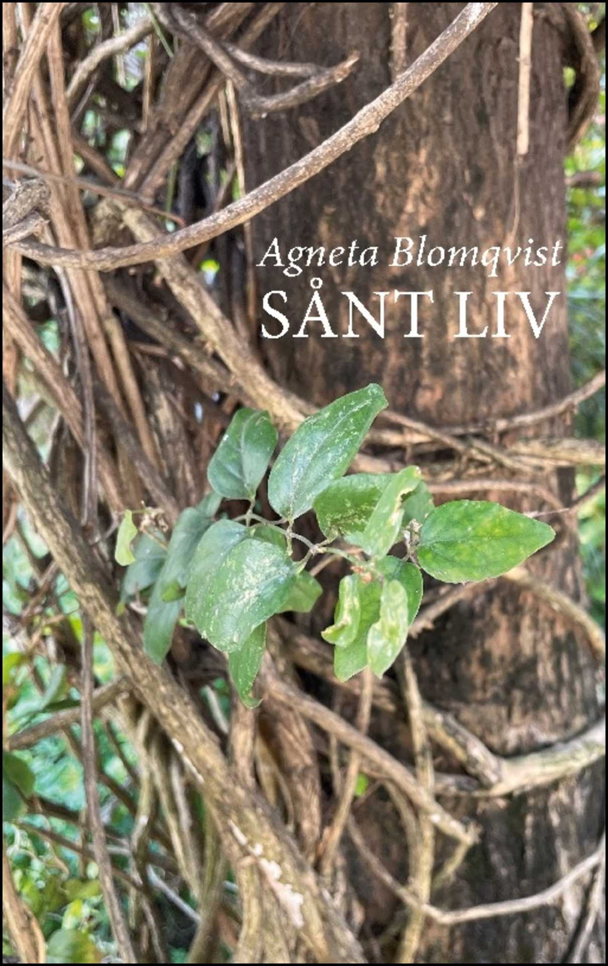 Blomqvist, Agneta | Sånt liv