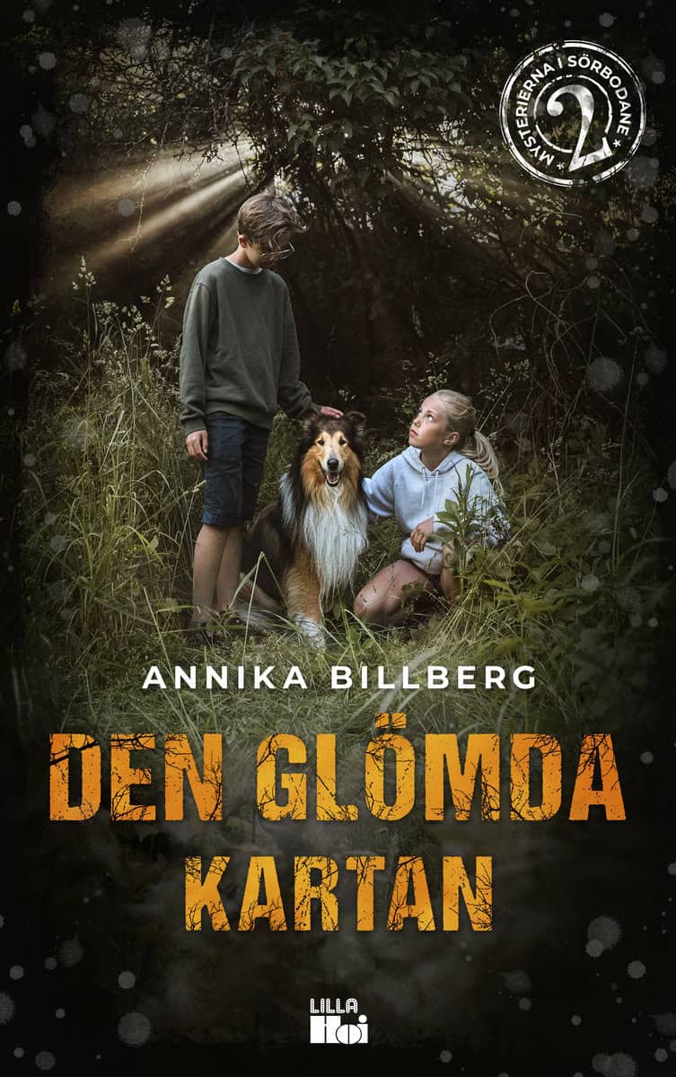 Billberg, Annika | Den glömda kartan