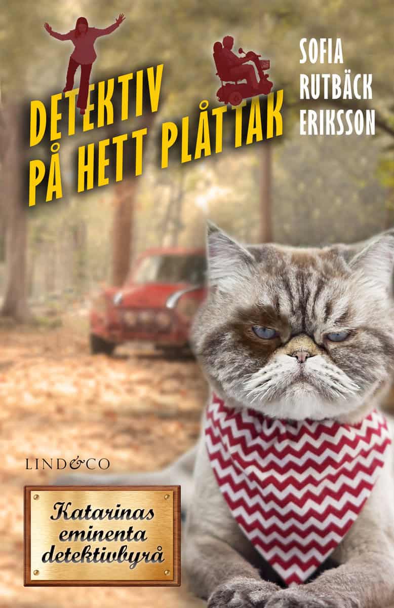 Rutbäck Eriksson, Sofia | Detektiv på hett plåttak