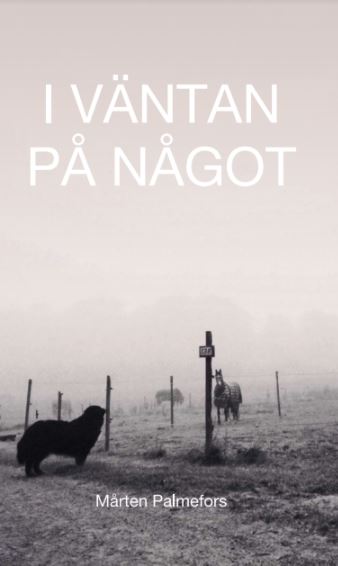 Palmefors, Mårten | I väntan på något