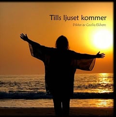 Ekhem, Cecilia | Tills ljuset kommer