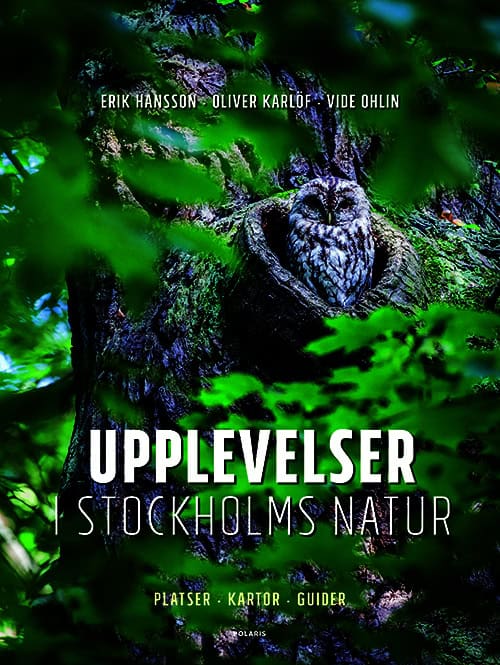 Hansson, Erik | Karlöf, Oliver | Ohlin, Vide | Upplevelser i Stockholms natur