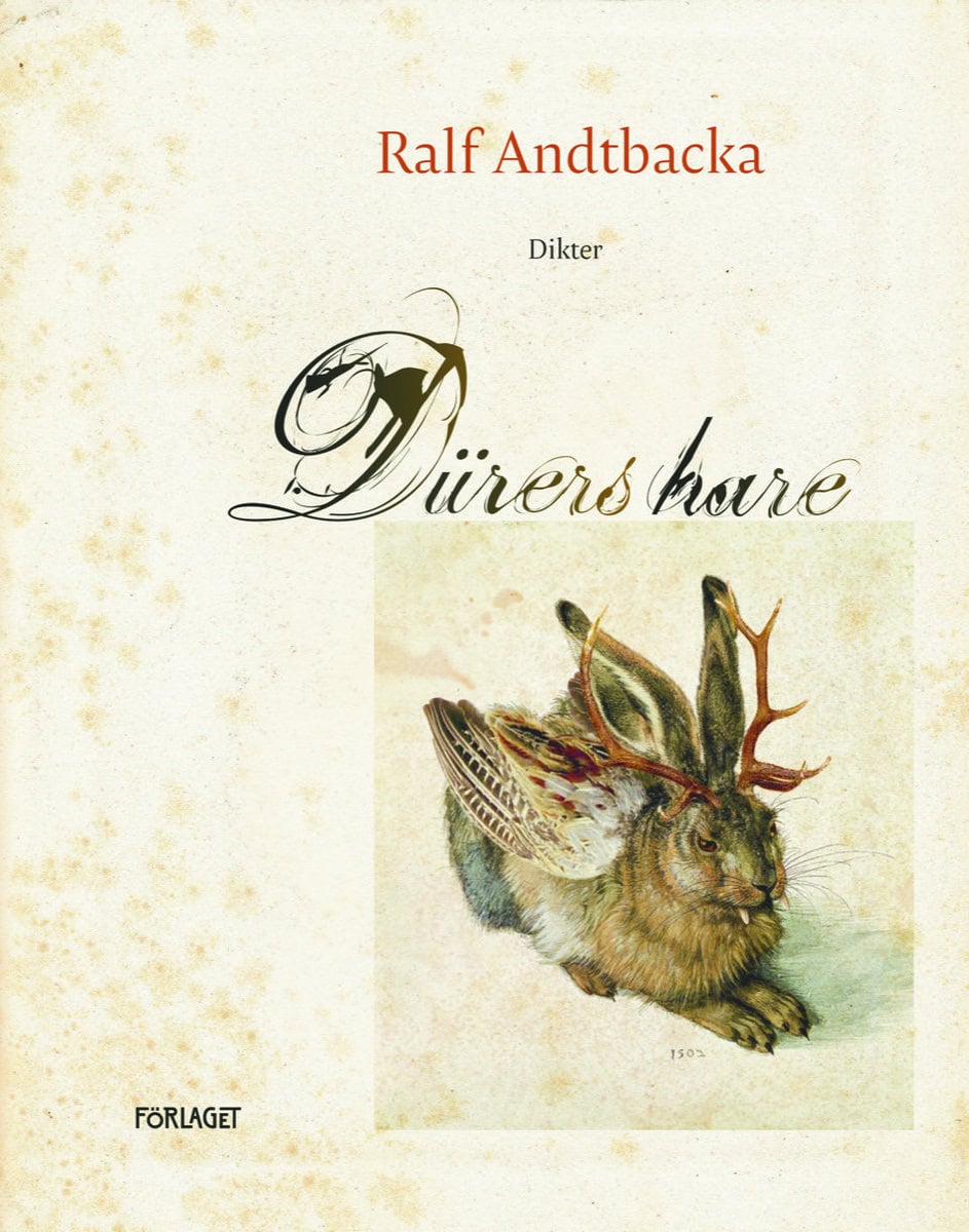 Andtbacka, Ralf | Dürers hare
