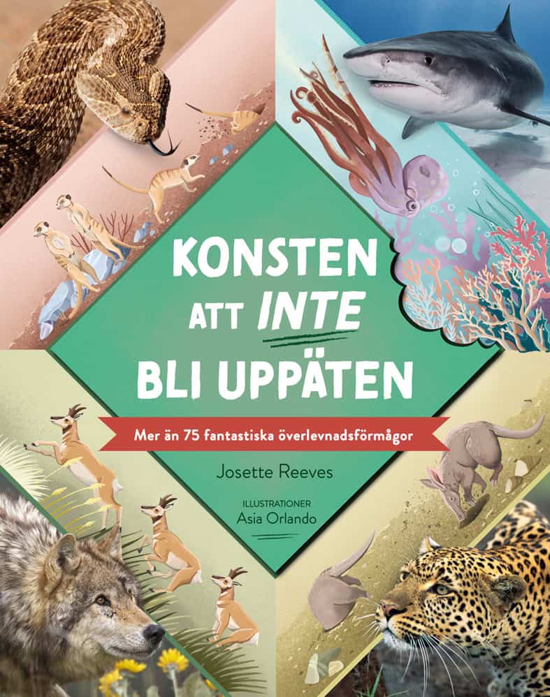 Reeves, Josette | Konsten att inte bli uppäten