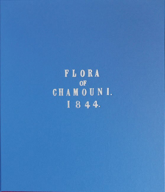 John Ruskin | Flora Of Chamonix