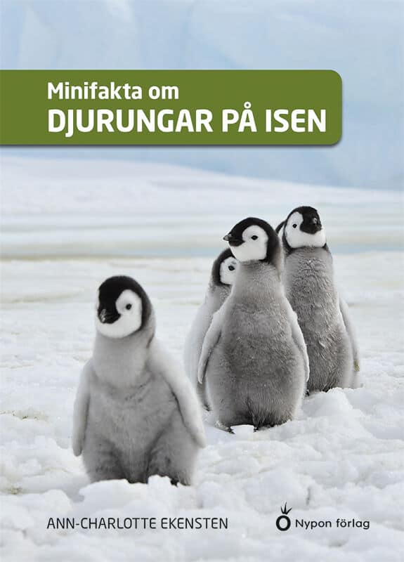Ekensten, Ann-Charlotte | Minifakta om djurungar på isen
