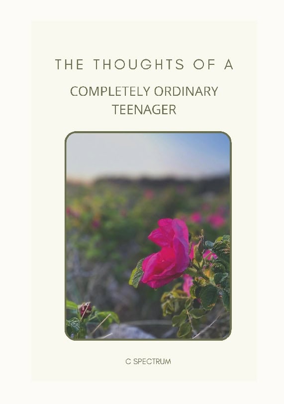 C Spectrum | The thoughts of a completely ordinary teenager