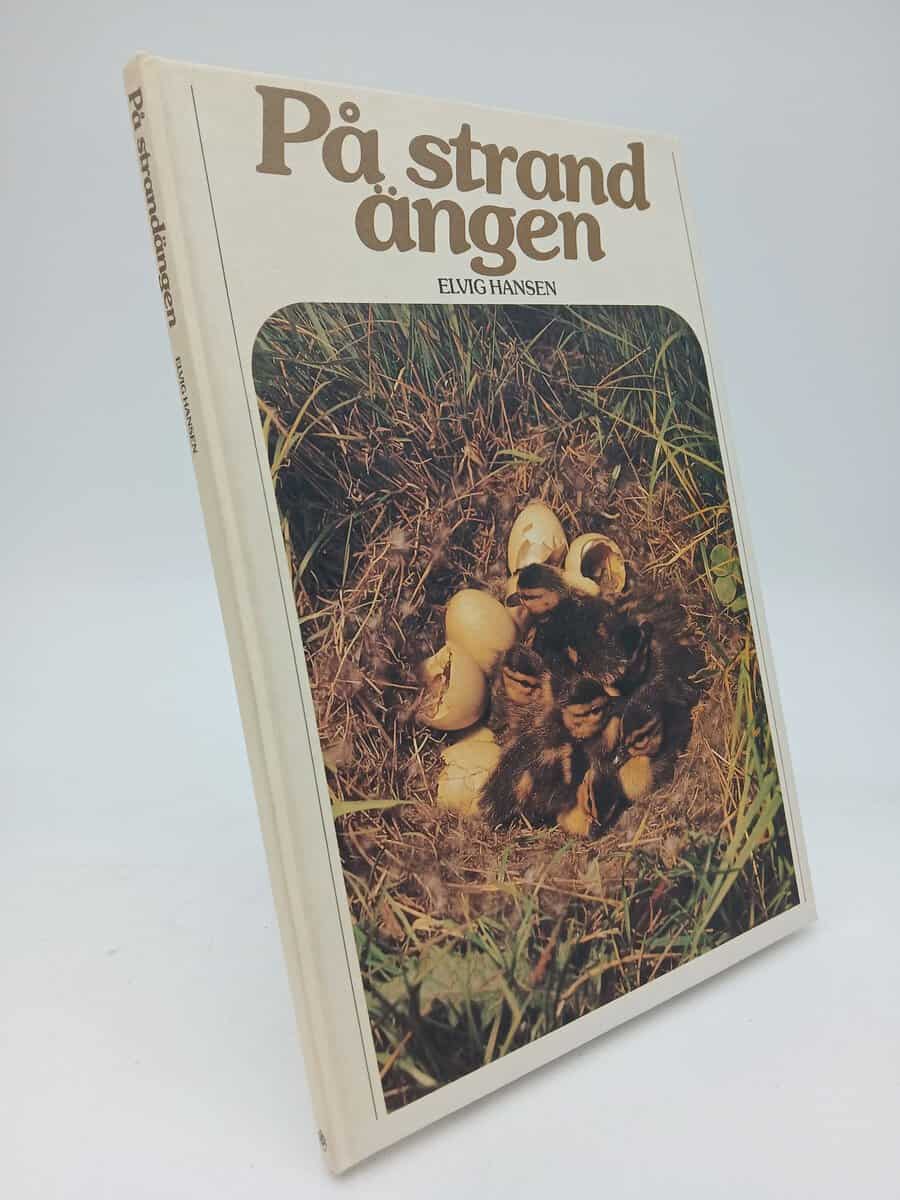 Hansen, Elvig | På strandängen