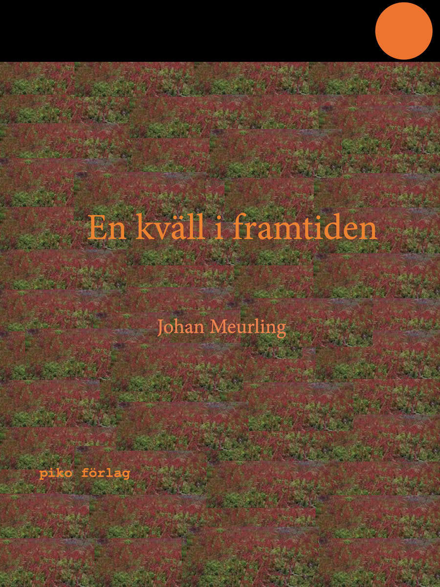 Meurling, Johan | En kväll i framtiden