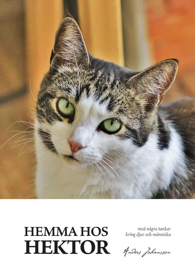 Johansson, Anders | Hemma hos Hektor