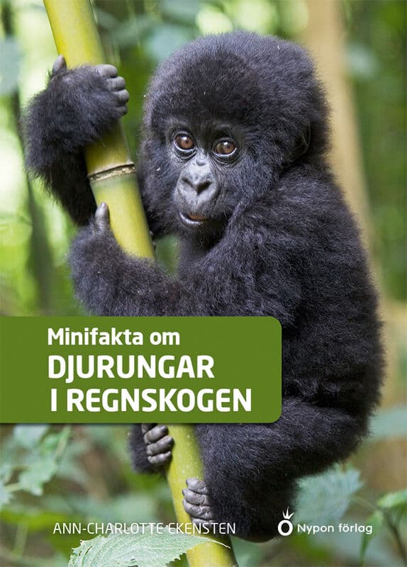 Ekensten, Ann-Charlotte | Minifakta om djurungar i regnskogen