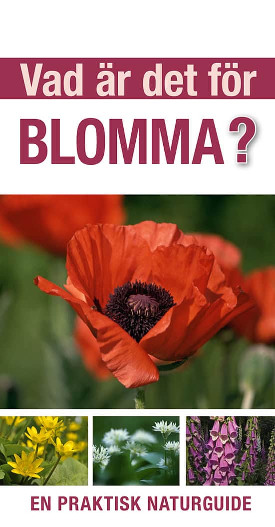 Burnie, David | Vad är det för blomma? : En praktisk naturguide