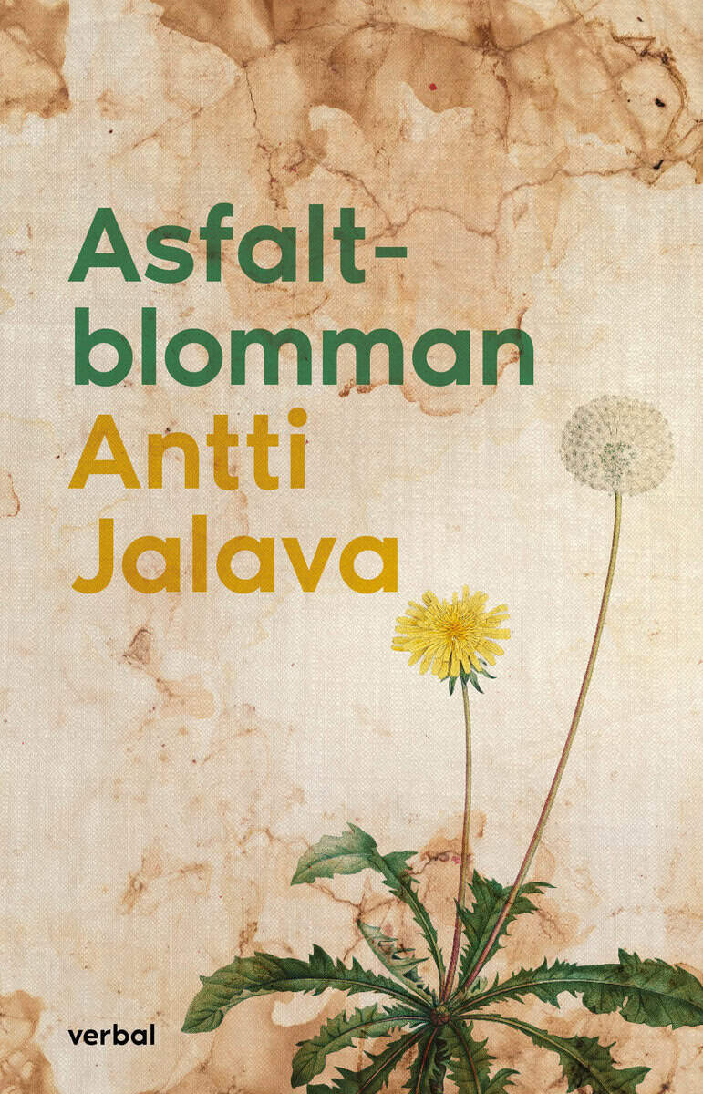 Jalava, Antti | Asfaltblomman