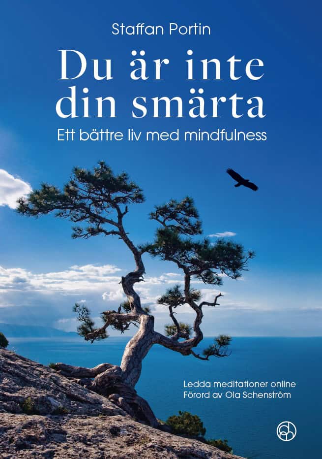 Portin, Staffan | Du är inte din smärta : Ett bättre liv med mindfulness