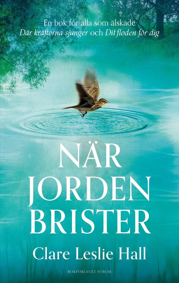 Hall, Clare Leslie | När jorden brister