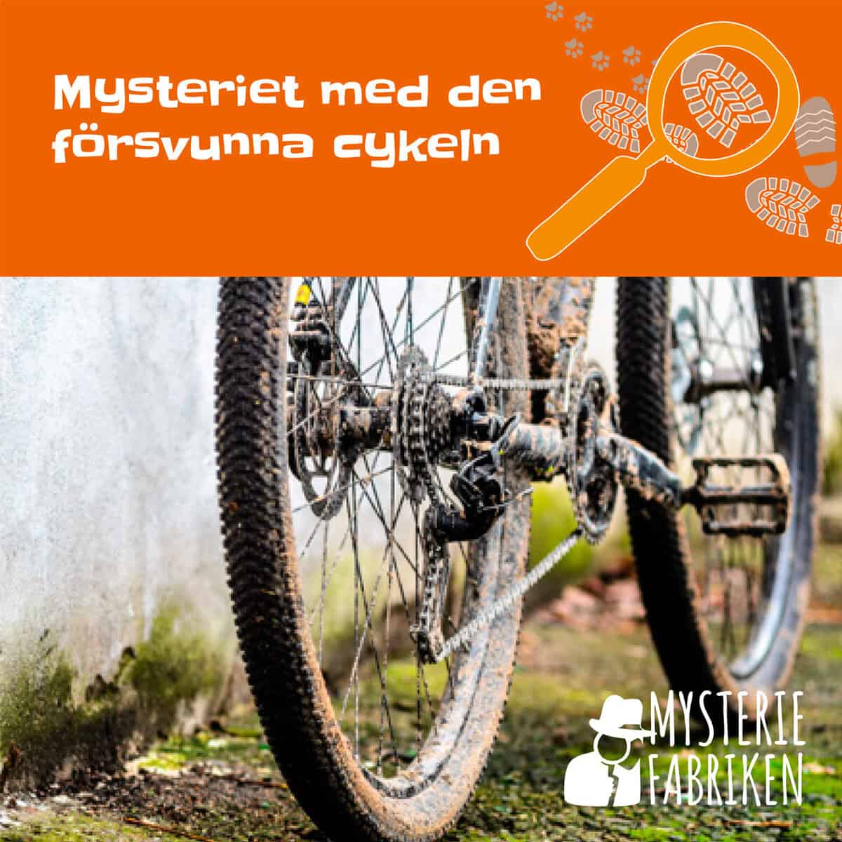 Cernold, Nina | Mysteriet med den försvunna cykeln