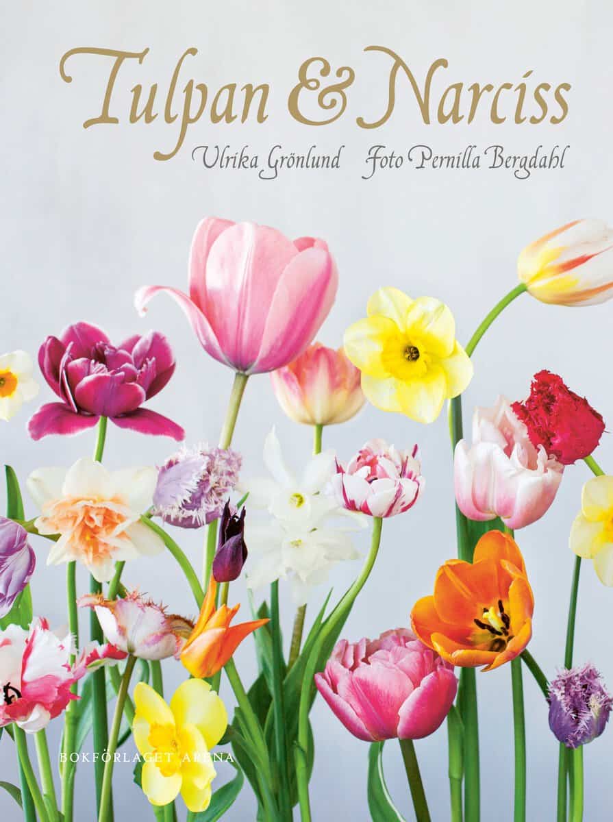 Grönlund, Ulrika | Tulpan & narciss