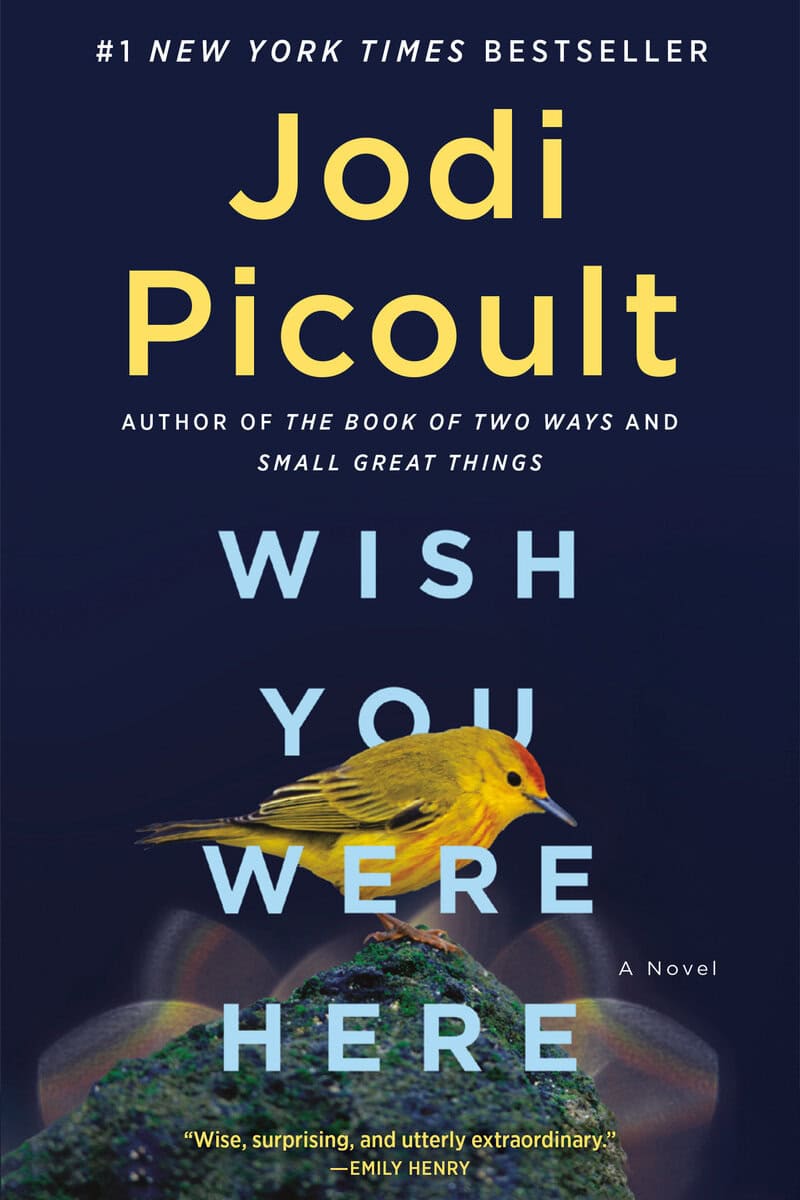 Picoult, Jodi | Wish You Were Here : A Novel