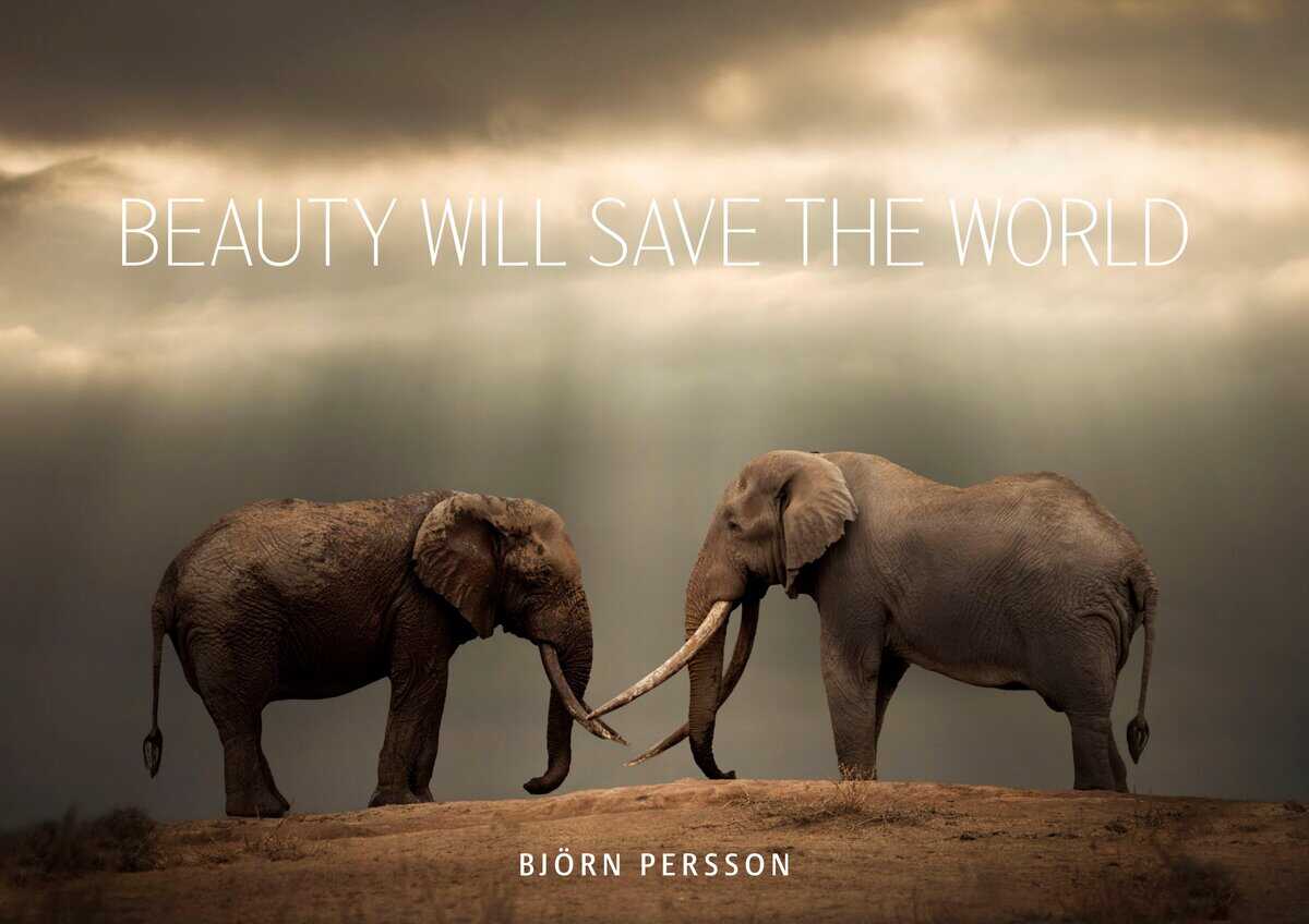 Persson, Björn | Beauty will save the world