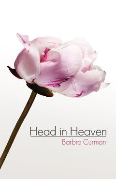 Curman, Barbro | Head in heaven