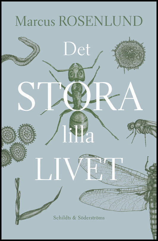 Rosenlund, Marcus | Det stora lilla livet