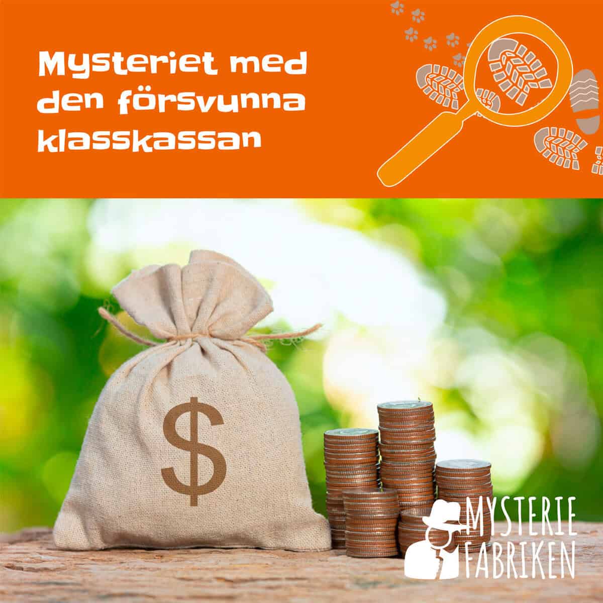 Cernold, Nina | Mysteriet med den försvunna klasskassan