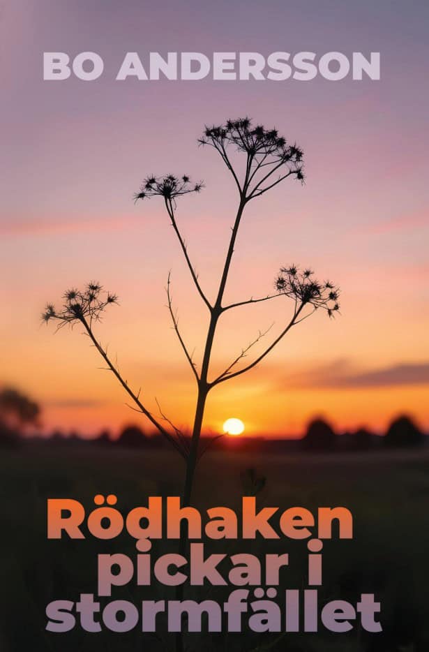 Andersson, Bo | Rödhaken pickar i stormfället