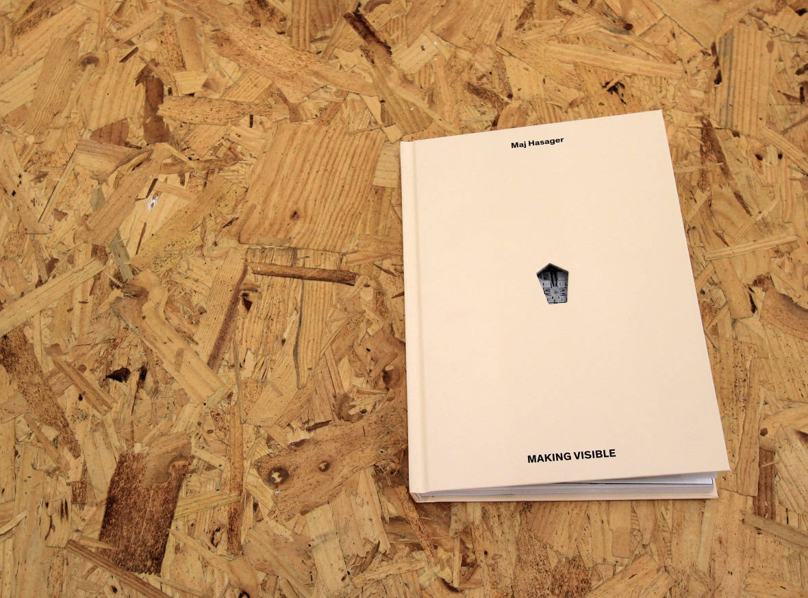 Litardi, Silvia | Romito, Lorenzo | Innamorati, Francesco | Serban, Alina | MAKING VISIBLE