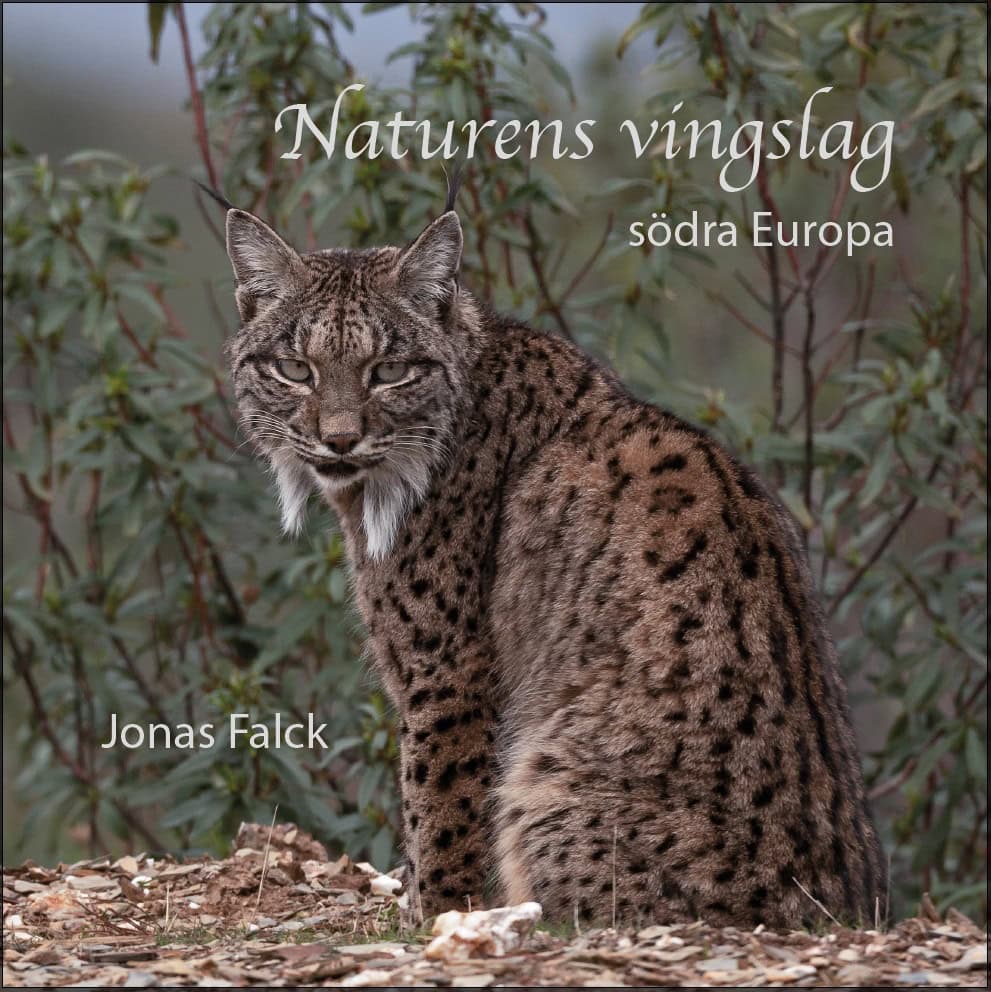 Falck, Jonas | Naturens vingslag : Södra Europa