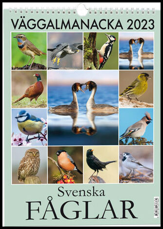 Svenska fåglar Väggalmanacka 2023