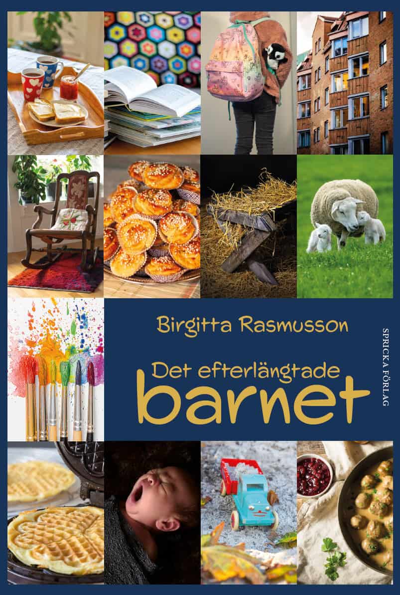 Rasmusson, Birgitta | Det efterlängtade barnet