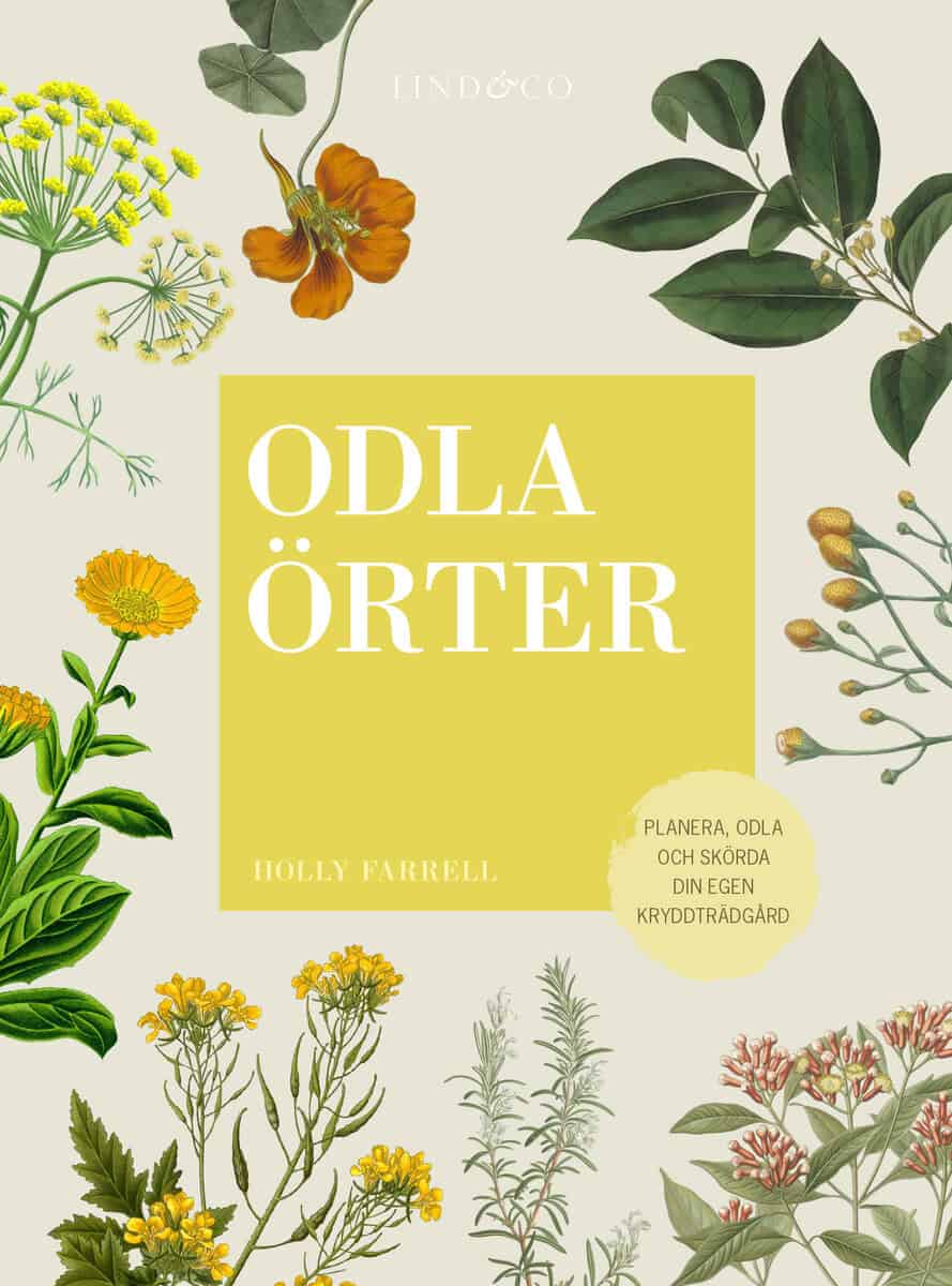 Farrel, Holly | Odla örter : Planera, odla och skörda din egen kryddträdgård