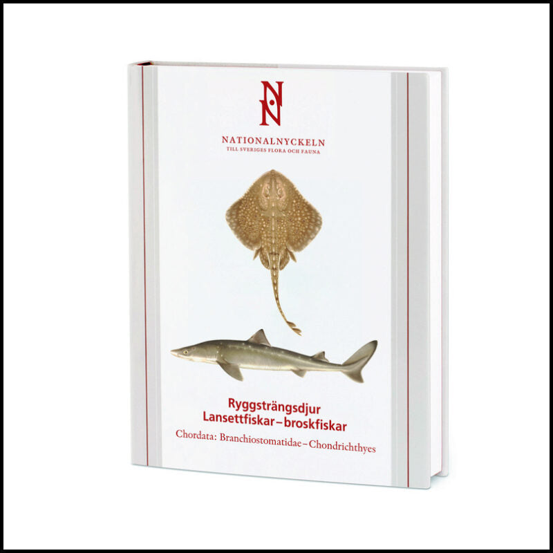 Kullander, Sven O.| Stach, Thomas| Hansson, Hans G.| Delling, Bo| Blom, Henning | Ryggsträngsdjur : Lansettfiskar - bros...
