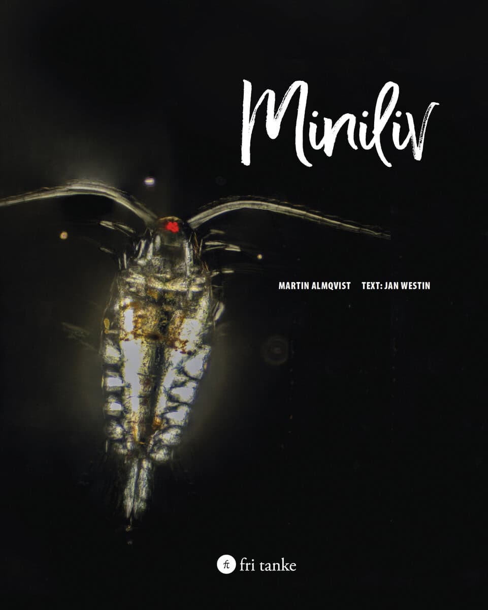 Almqvist, Martin | Westin, Jan | Miniliv