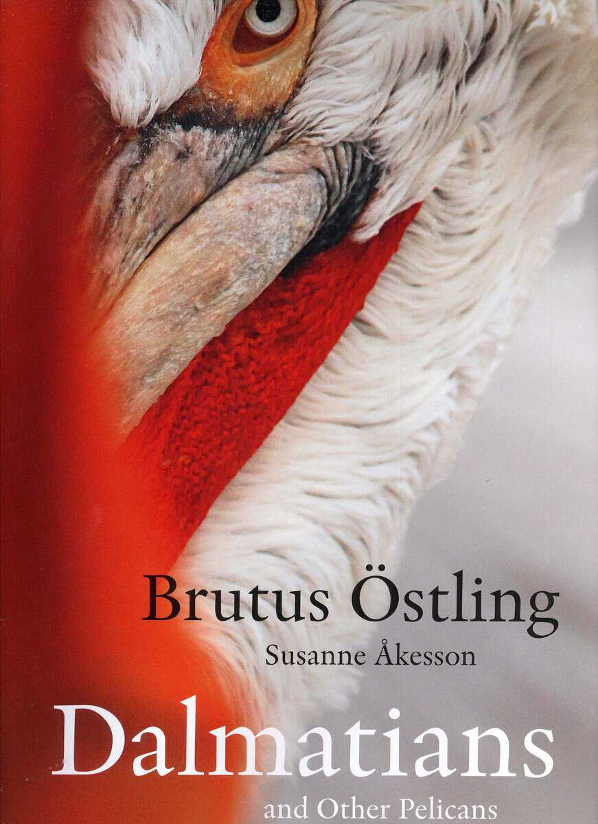Östling, Brutus | Åkesson, Susanne | Dalmatians and other pelicans