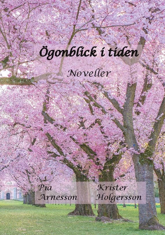 Arnesson, Pia | Holgersson, Krister | Ögonblick i tiden : Noveller