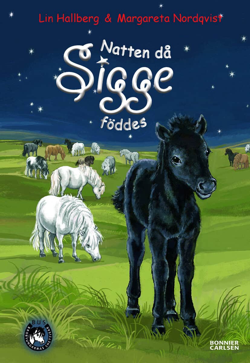 Hallberg, Lin | Natten då Sigge föddes