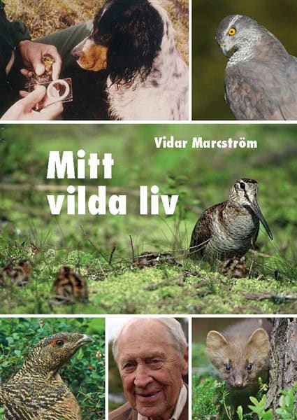Marcström, Vidar | Mitt vilda liv