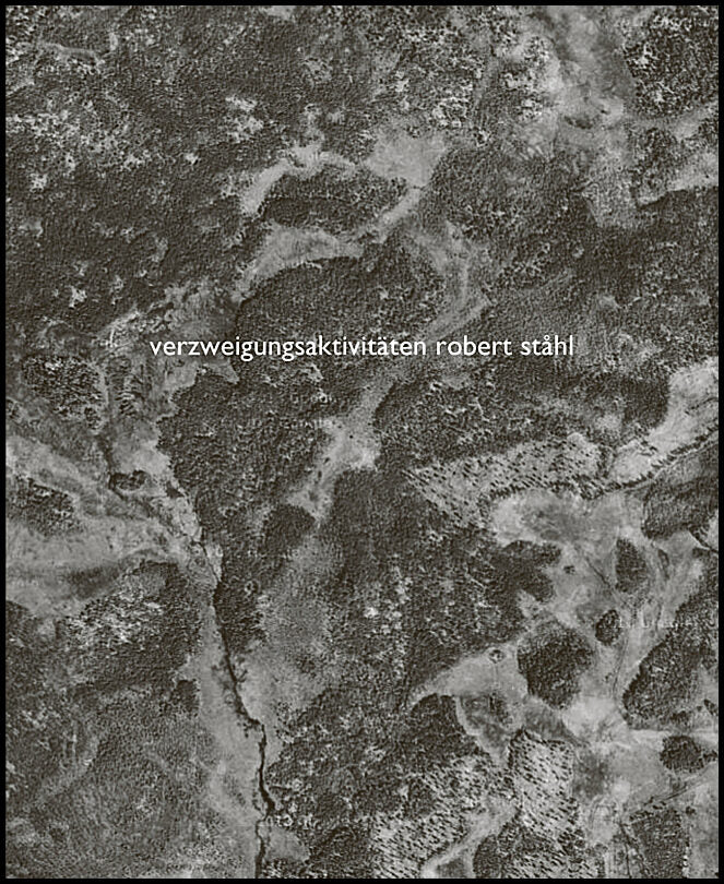 Ståhl, Robert | Verzweigungsaktivitäten