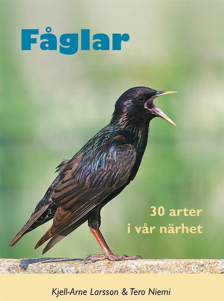 Larsson, Kjell-Arne | Fåglar : 30 arter i vår närhet