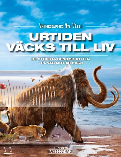 Palmgren, Gorm | Bendix, Henrik | Nielsen, Rolf Haugaard | Nørgaard, Henry | Overgaard, Jakob Boll | Jørgensen, Morten D...