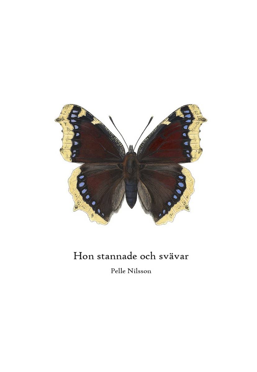 Nilsson, Per | Hon stannade och svävar