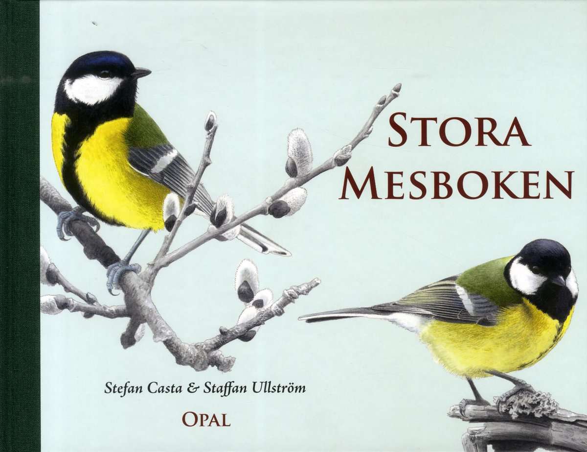 Casta, Stefan | Stora mesboken