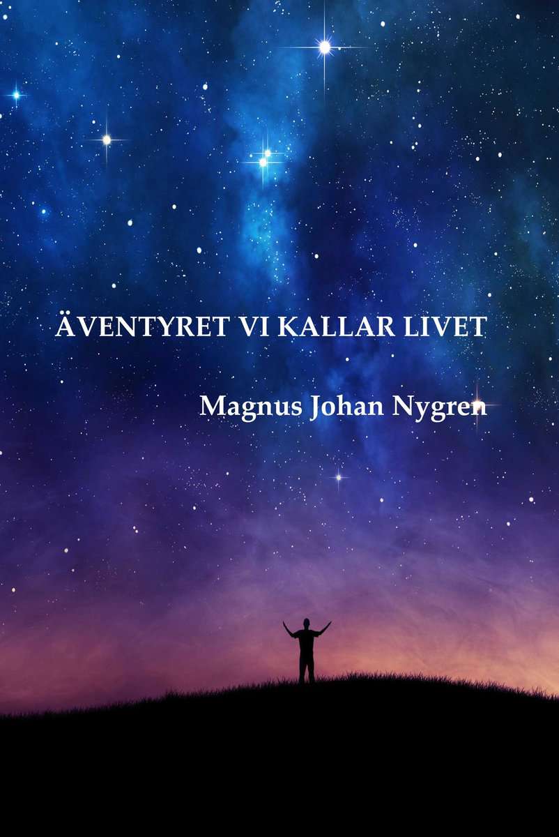 Nygren, Magnus Johan | Äventyret vi kallar livet
